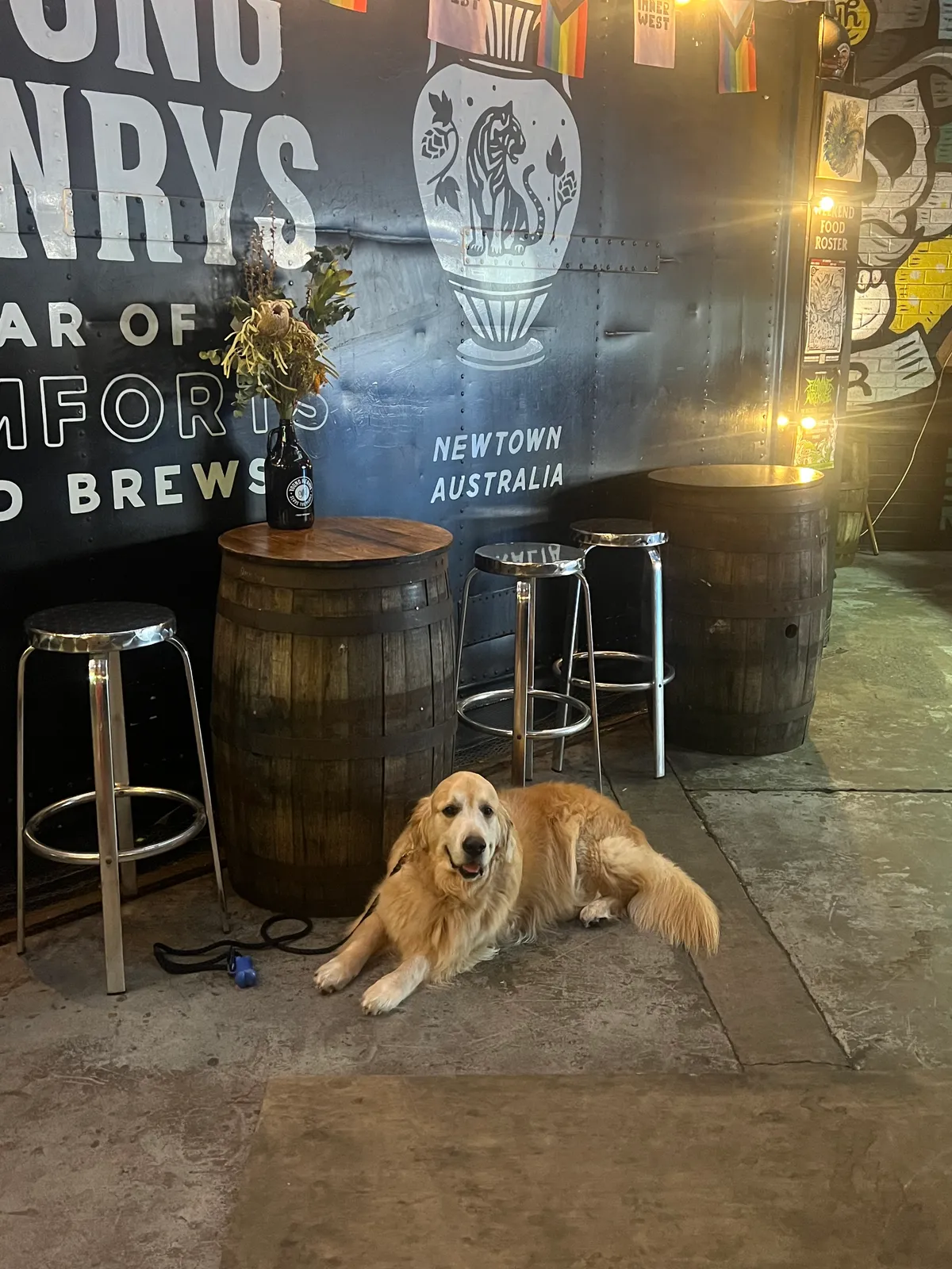 Young Henrys - Craft Brewery and Tasting Bar brewery in Newtown