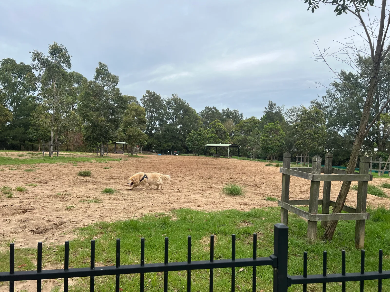 O'Dea Reserve park in Camperdown