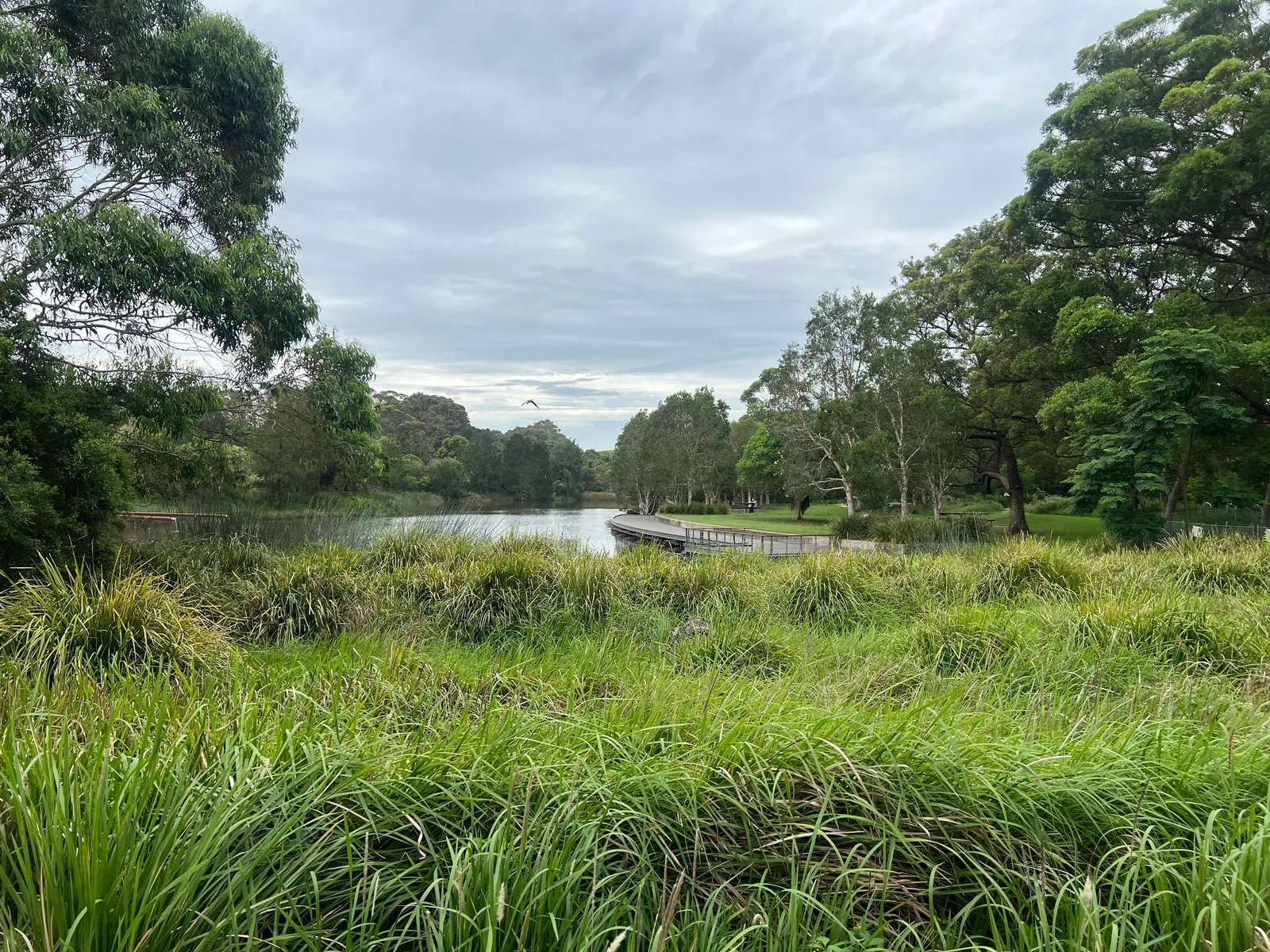 Sydney Park park in Alexandria