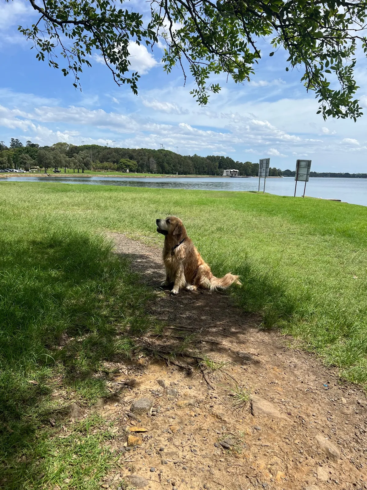 Callan Park park in Lilyfield