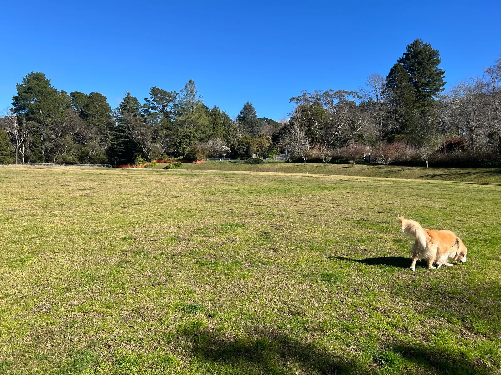 Leura Oval park in Leura