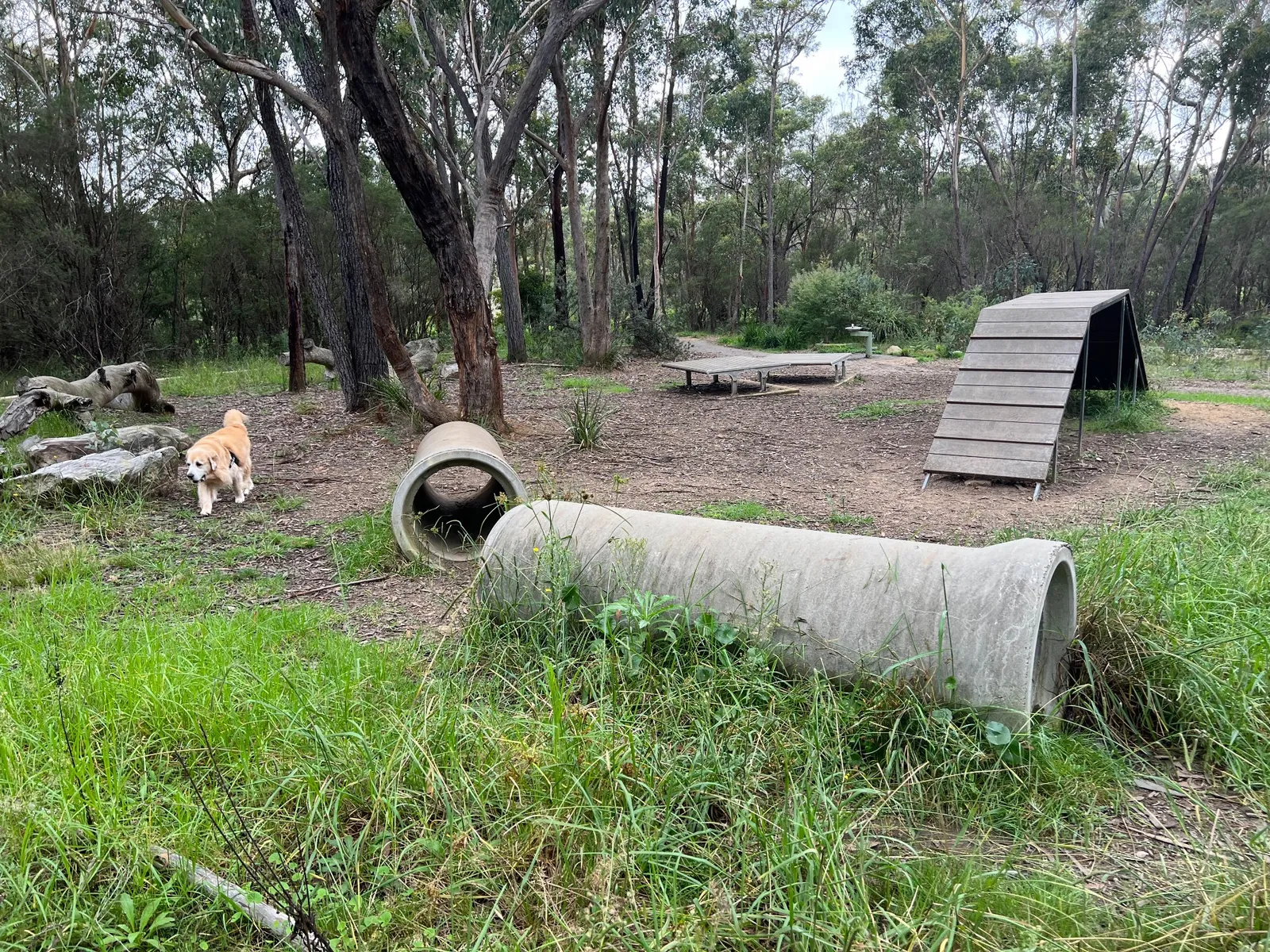 Lawson Dog Offleash Recreation Area park in Lawson