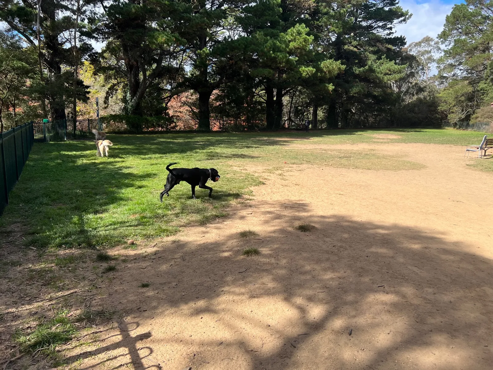 Whitley Park park in Blackheath