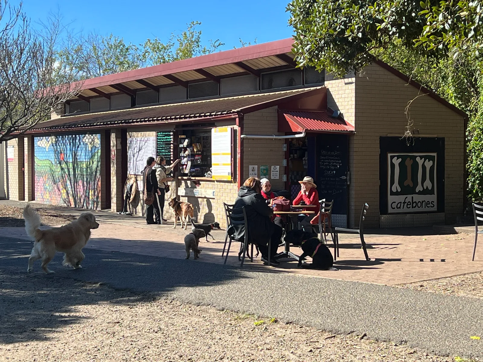 Cafe Bones cafe in Leichhardt