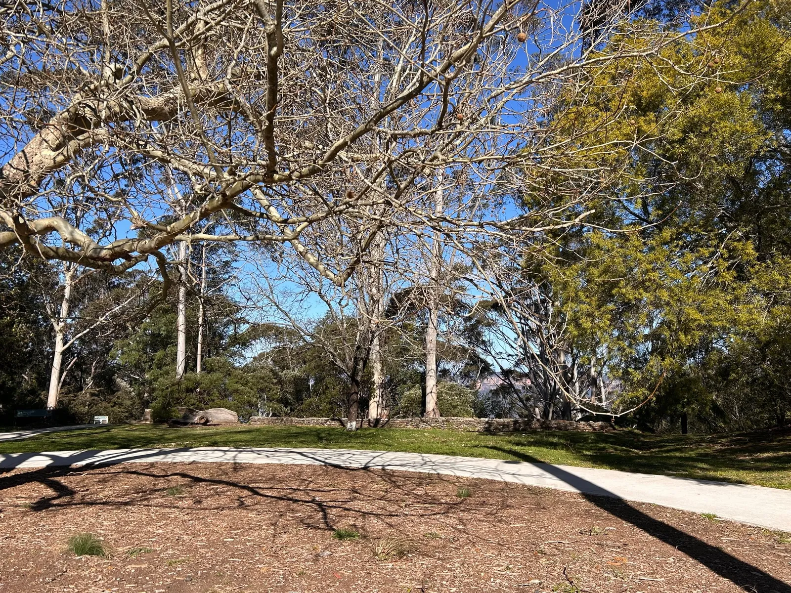 Gordon Falls Picnic Area park in Leura