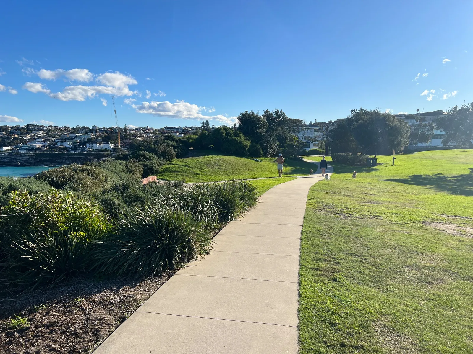 Marks Park park in Tamarama