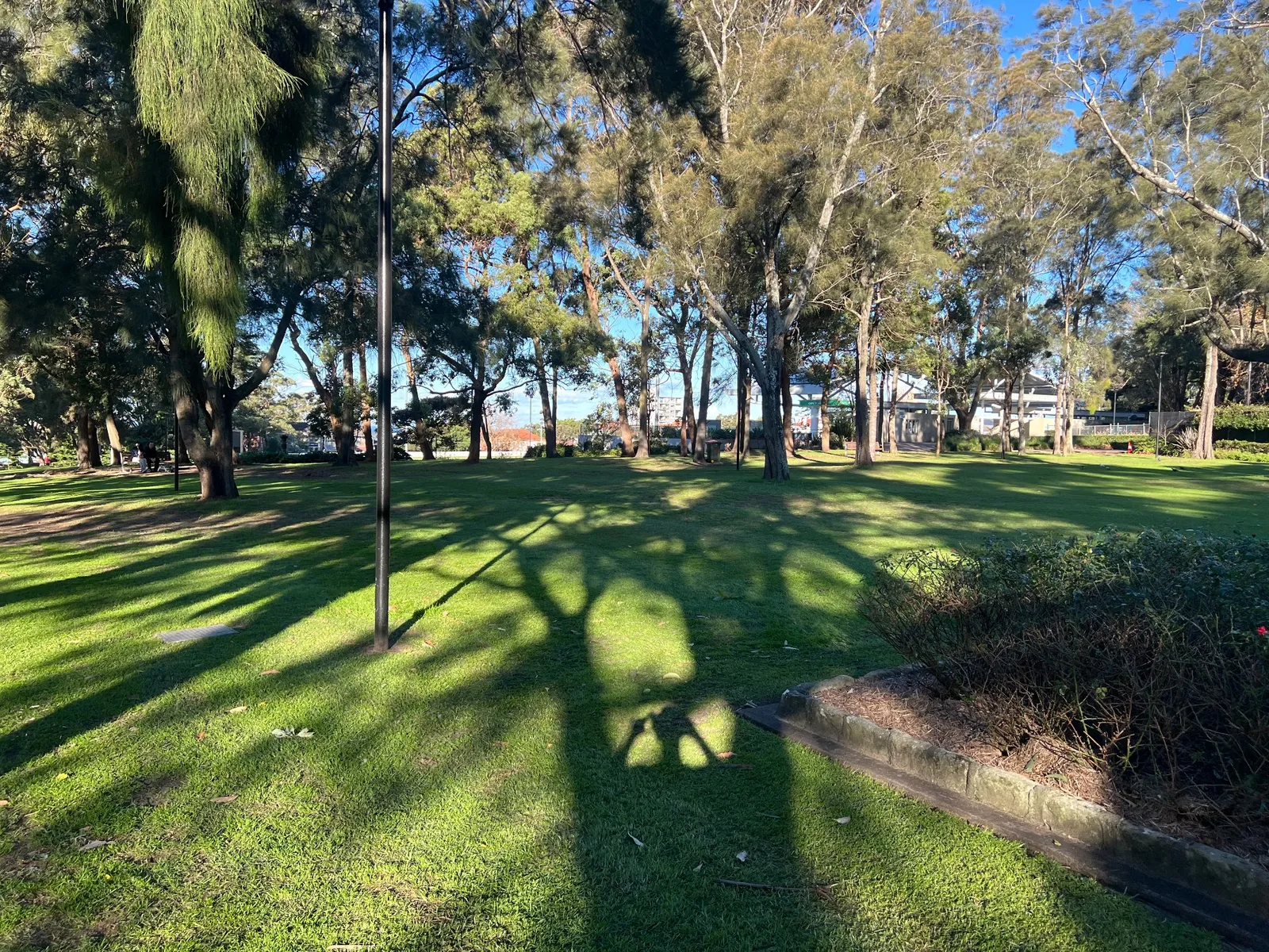 Waverley Park park in Bondi Junction