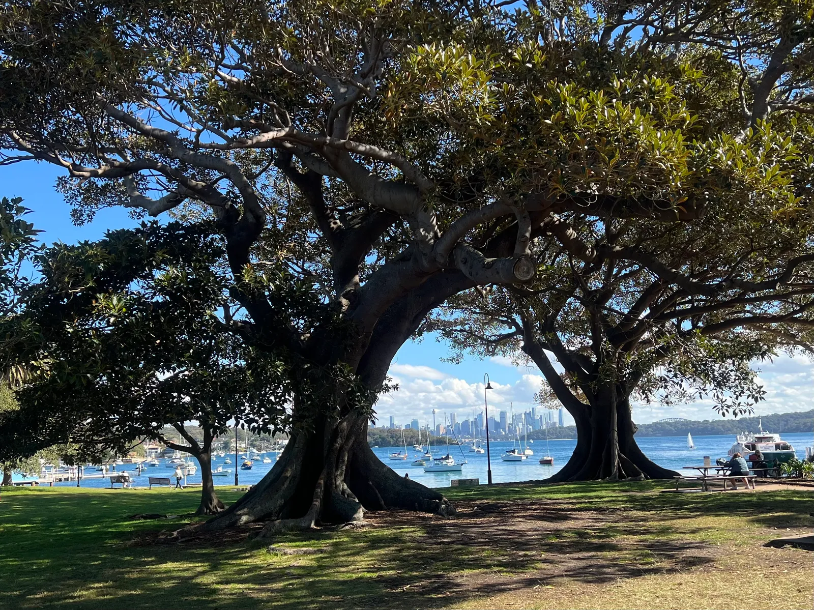 Robertson Park park in Watsons Bay