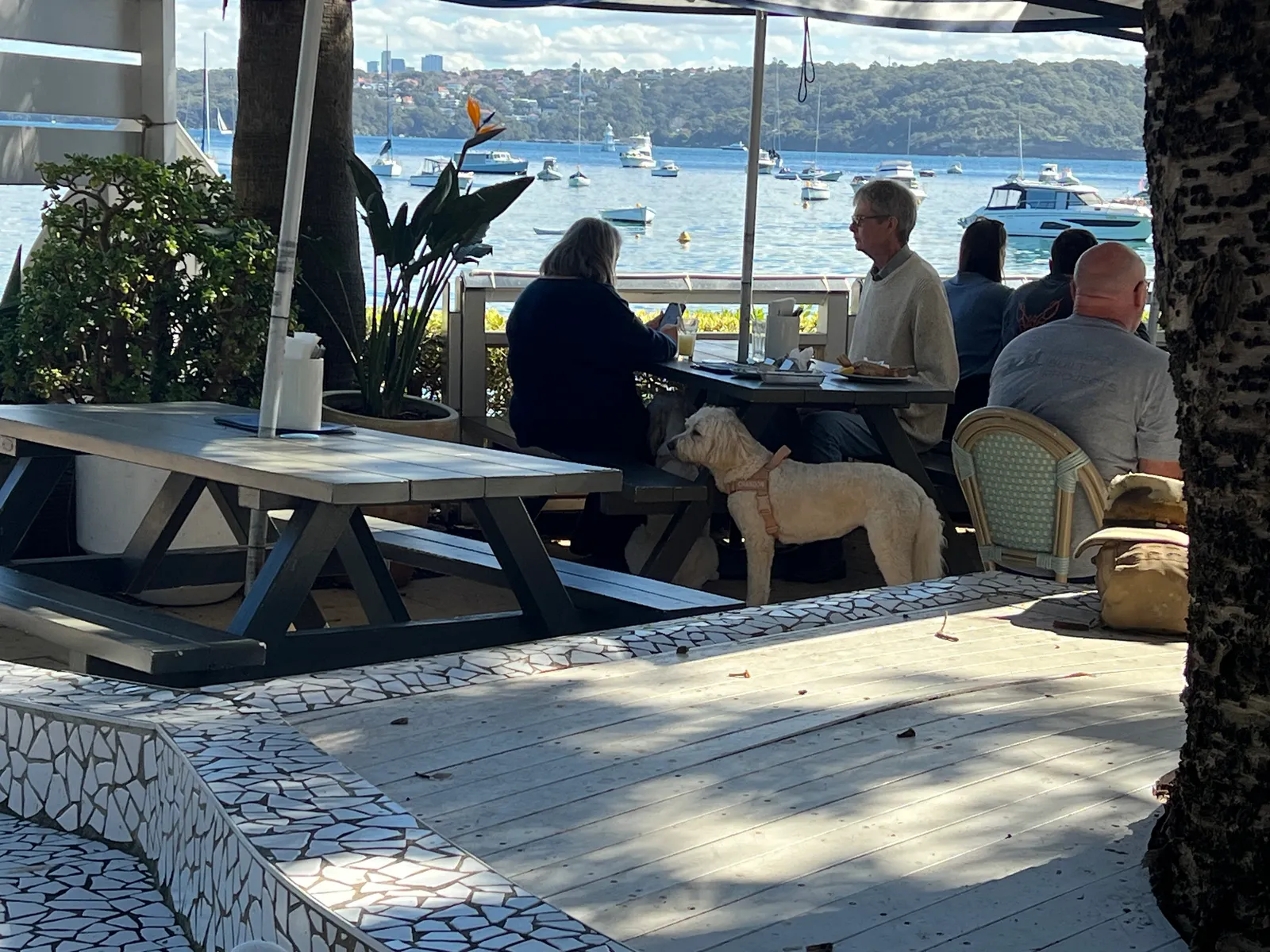 Beach Club at Watsons Bay Boutique Hotel pub in Watsons Bay