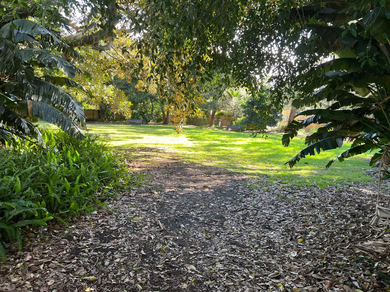 Camp Cove Reserve park in Watsons Bay