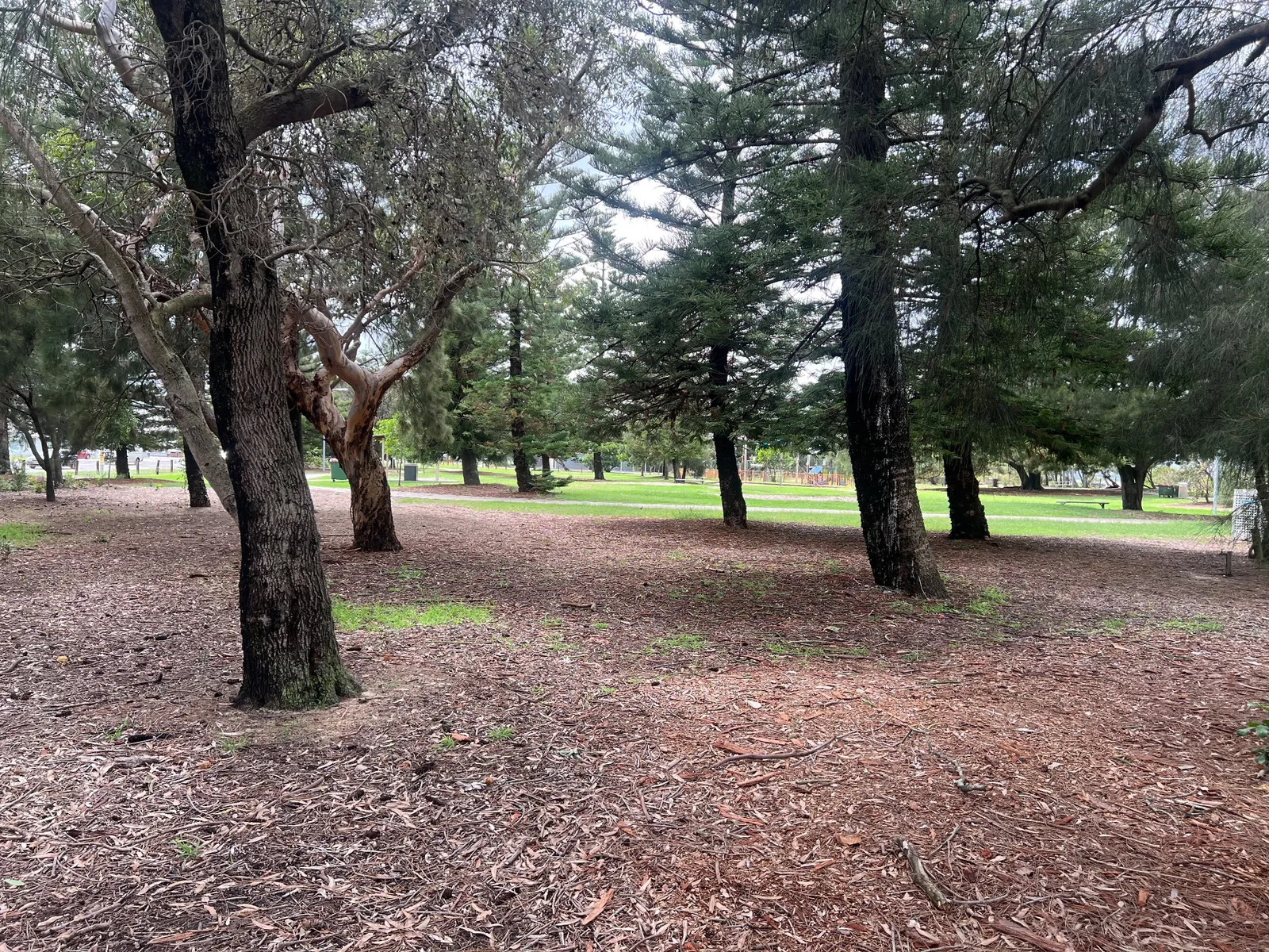 Cook Park park in Kyeemagh