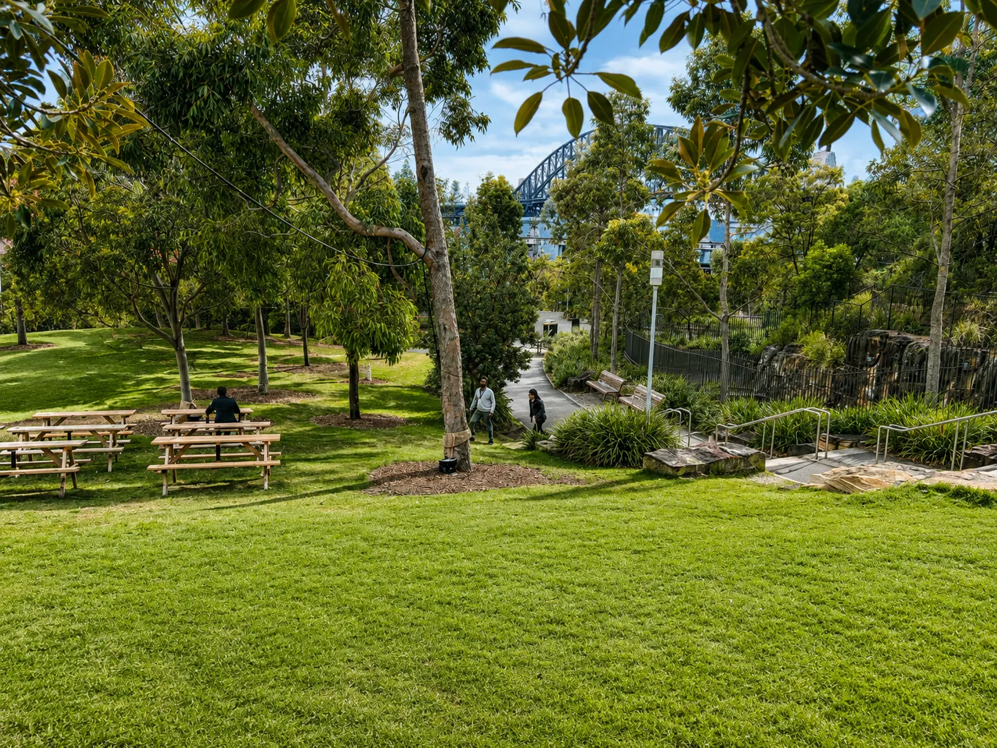 Stargazer Lawn park in Barangaroo