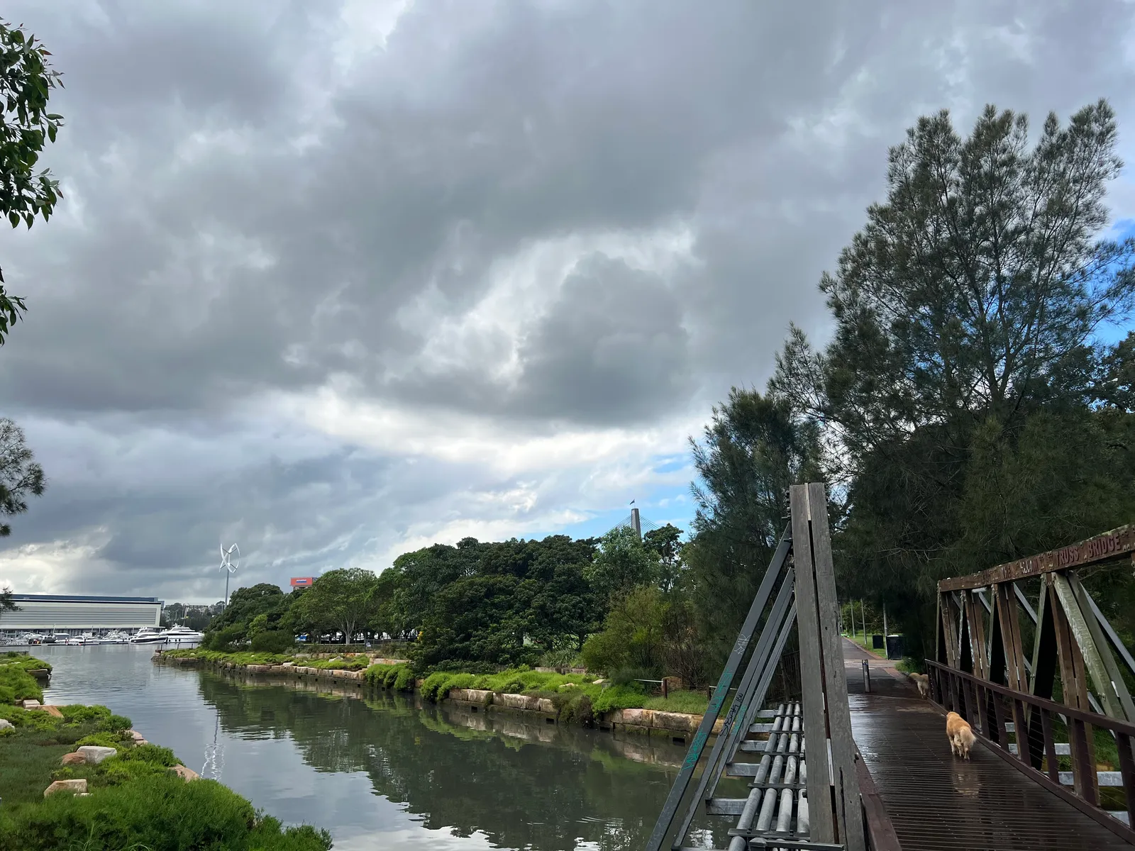 Glebe Foreshore Parks park in Annandale