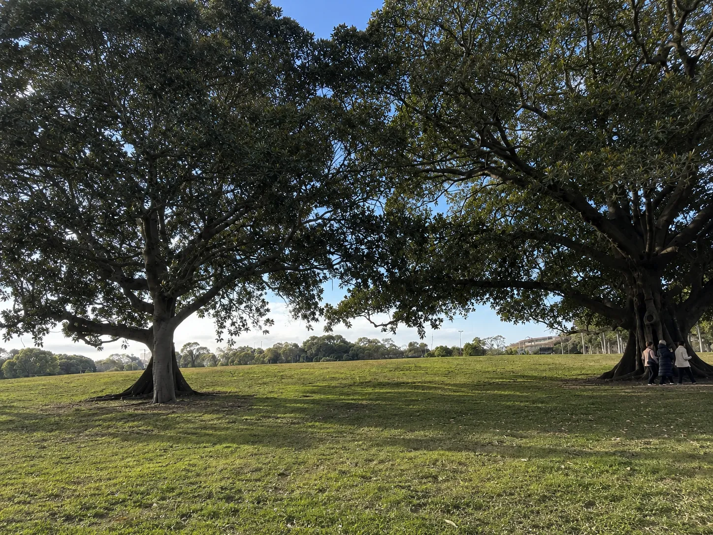 Moore Park park in Moore Park