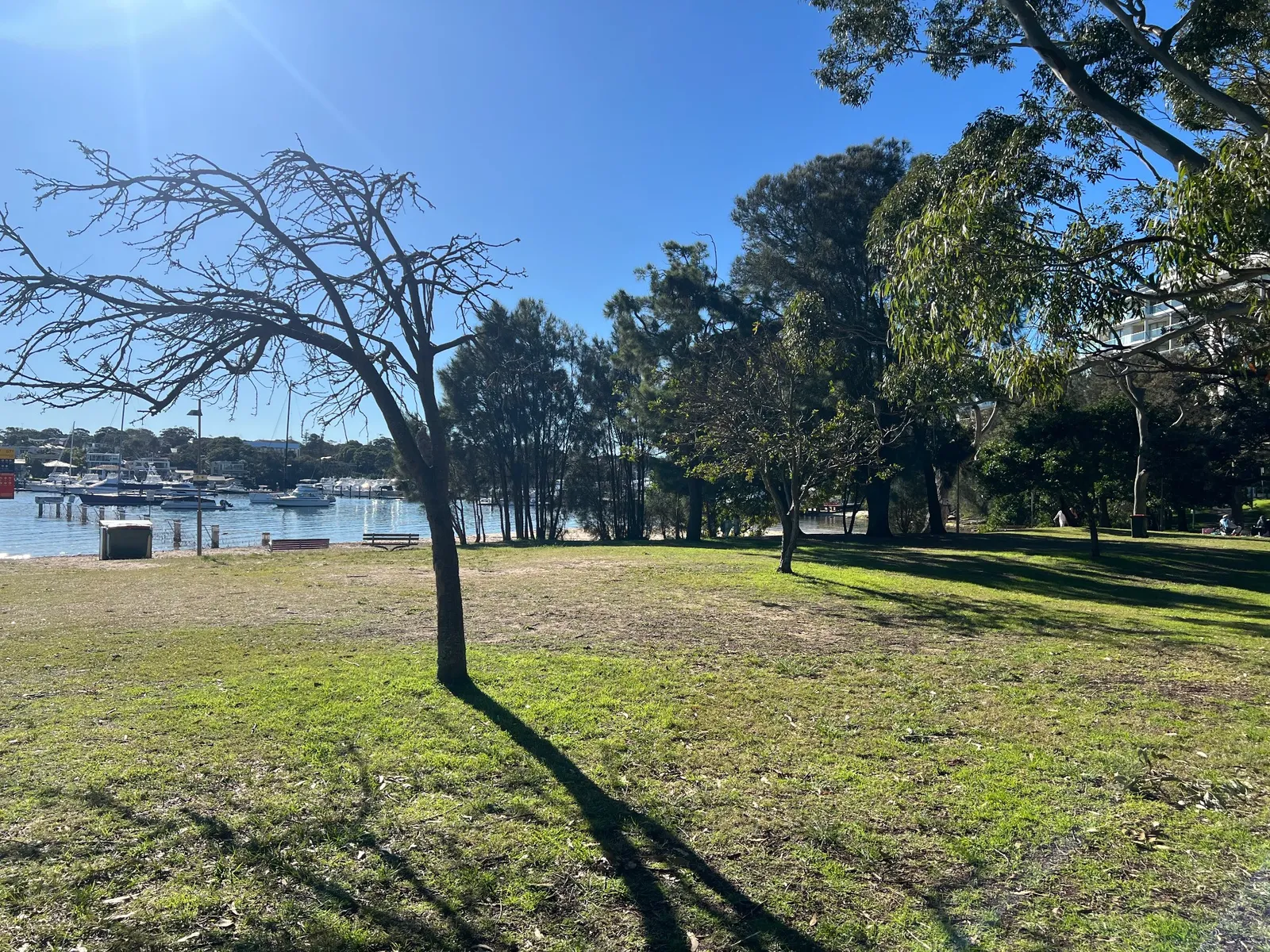 Gunnamatta Park park in Cronulla