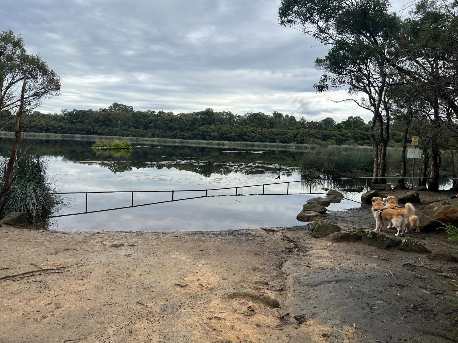 Glenbrook Lagoon park in Glenbrook