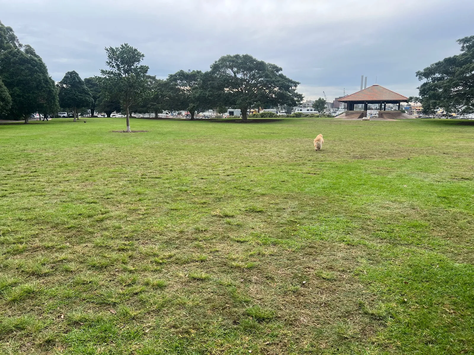Federal Park park in Annandale