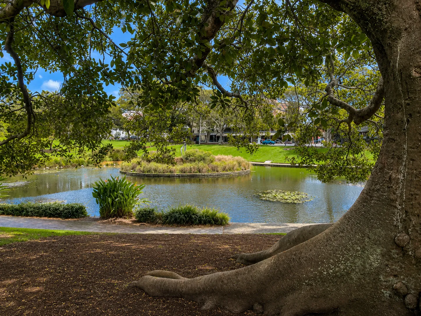 Victoria Park park in Camperdown