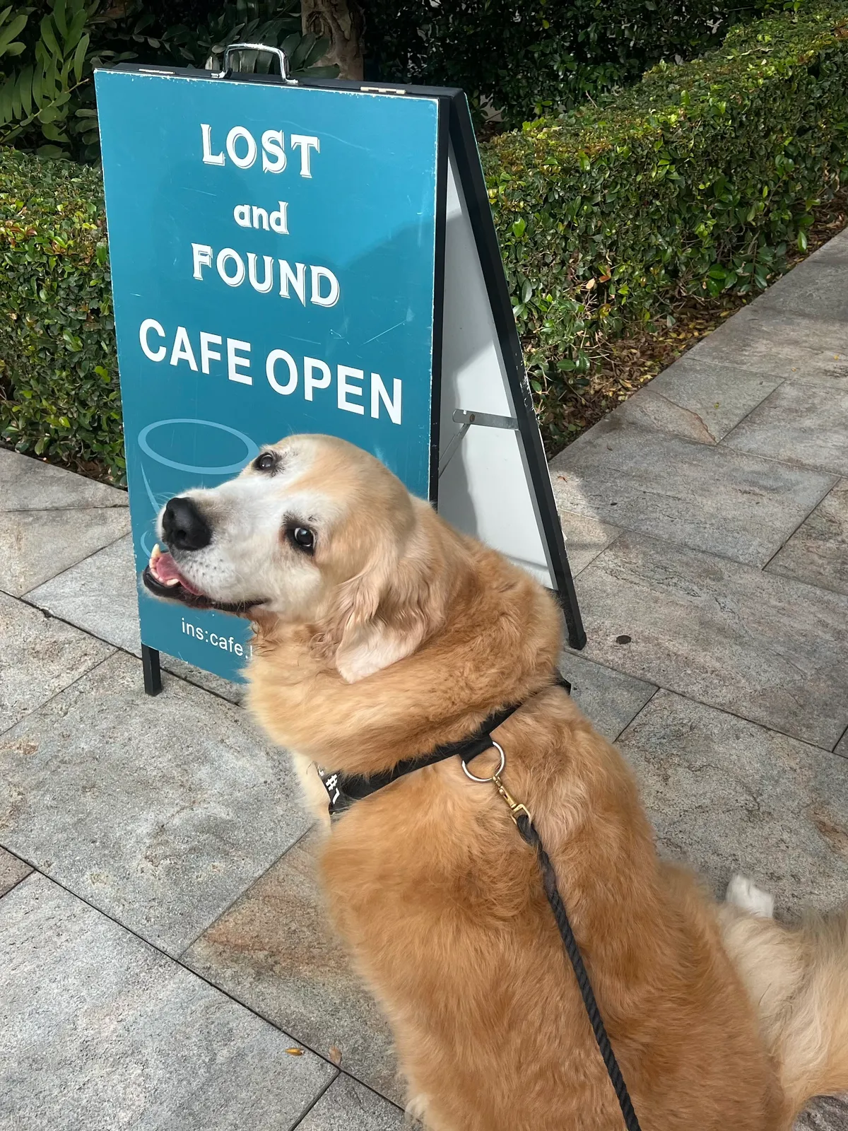 Cafe Lost and Found - North Sydney Cafe, Coffee Nearby cafe in North Sydney