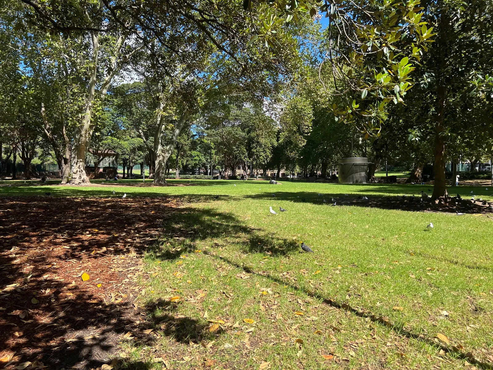 Belmore Park park in Haymarket