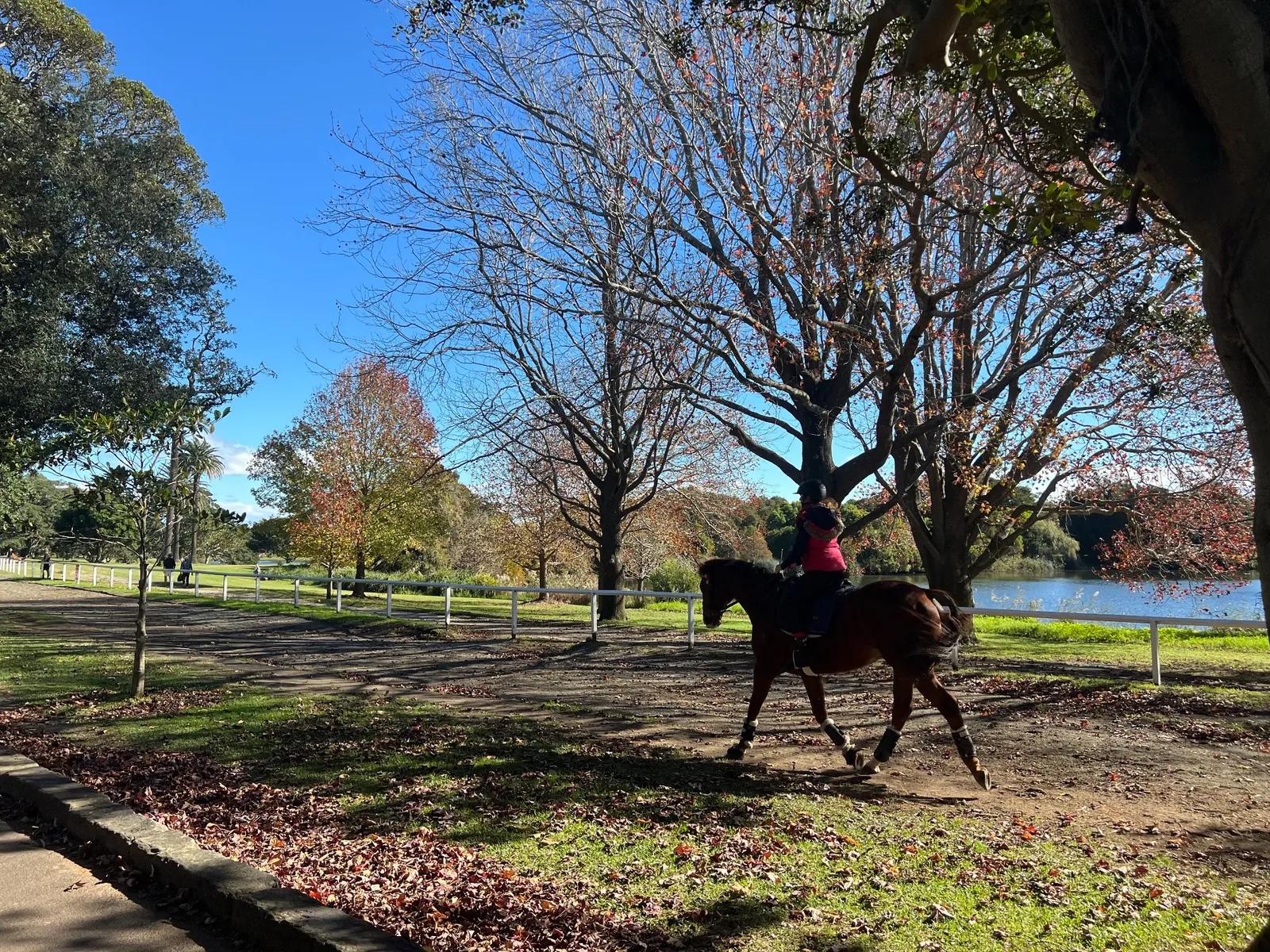Centennial Parklands park in Centennial Park