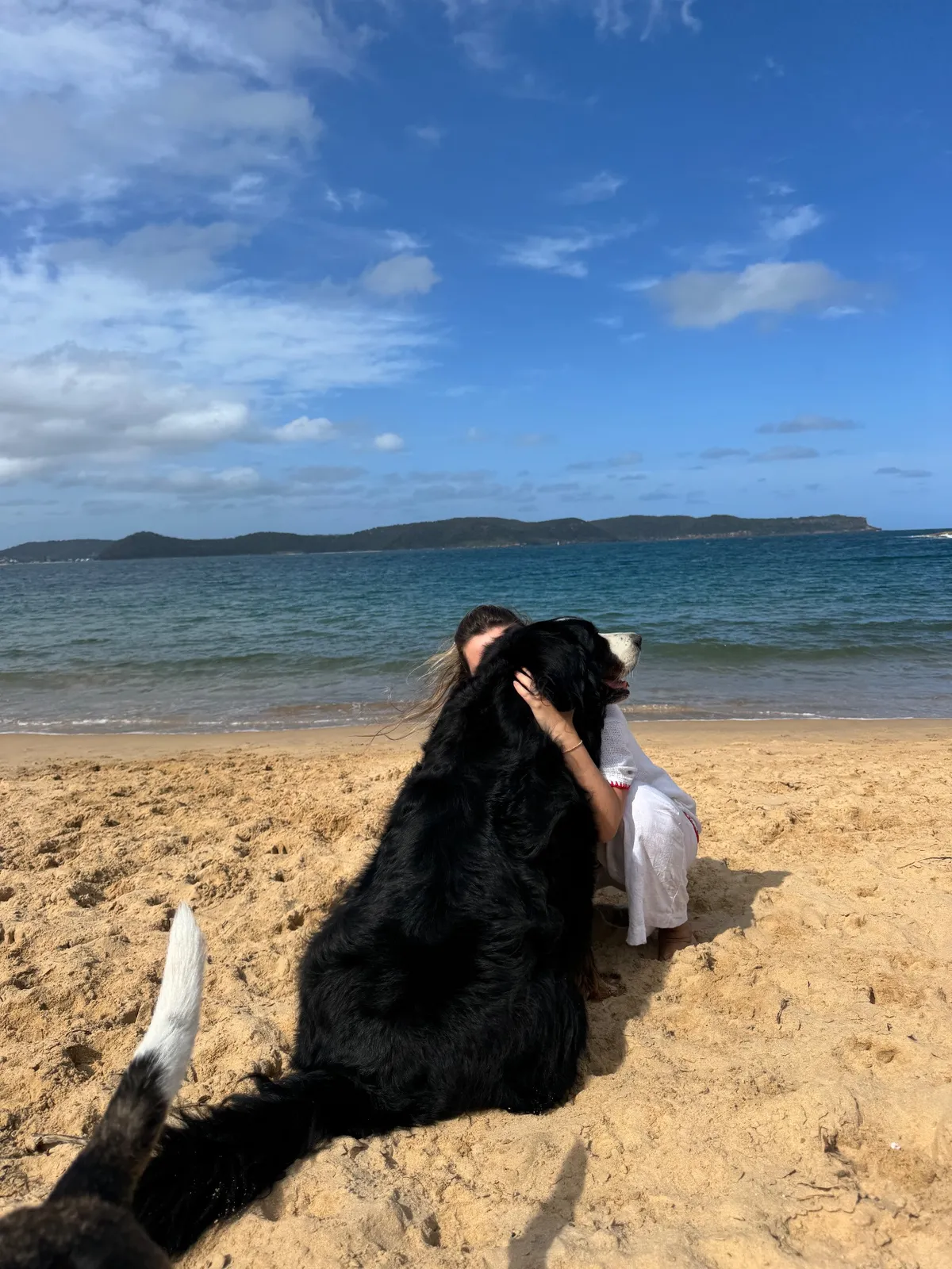 Pearl Beach beach in Pearl Beach