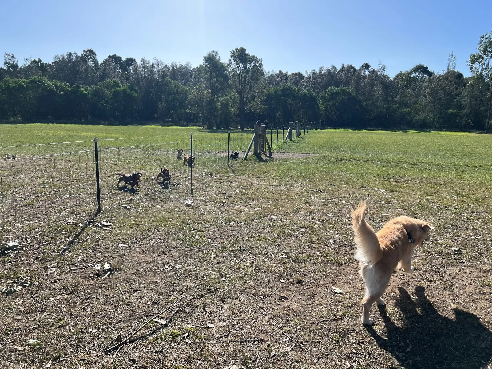 Warrigal Dog Run park in Arndell Park