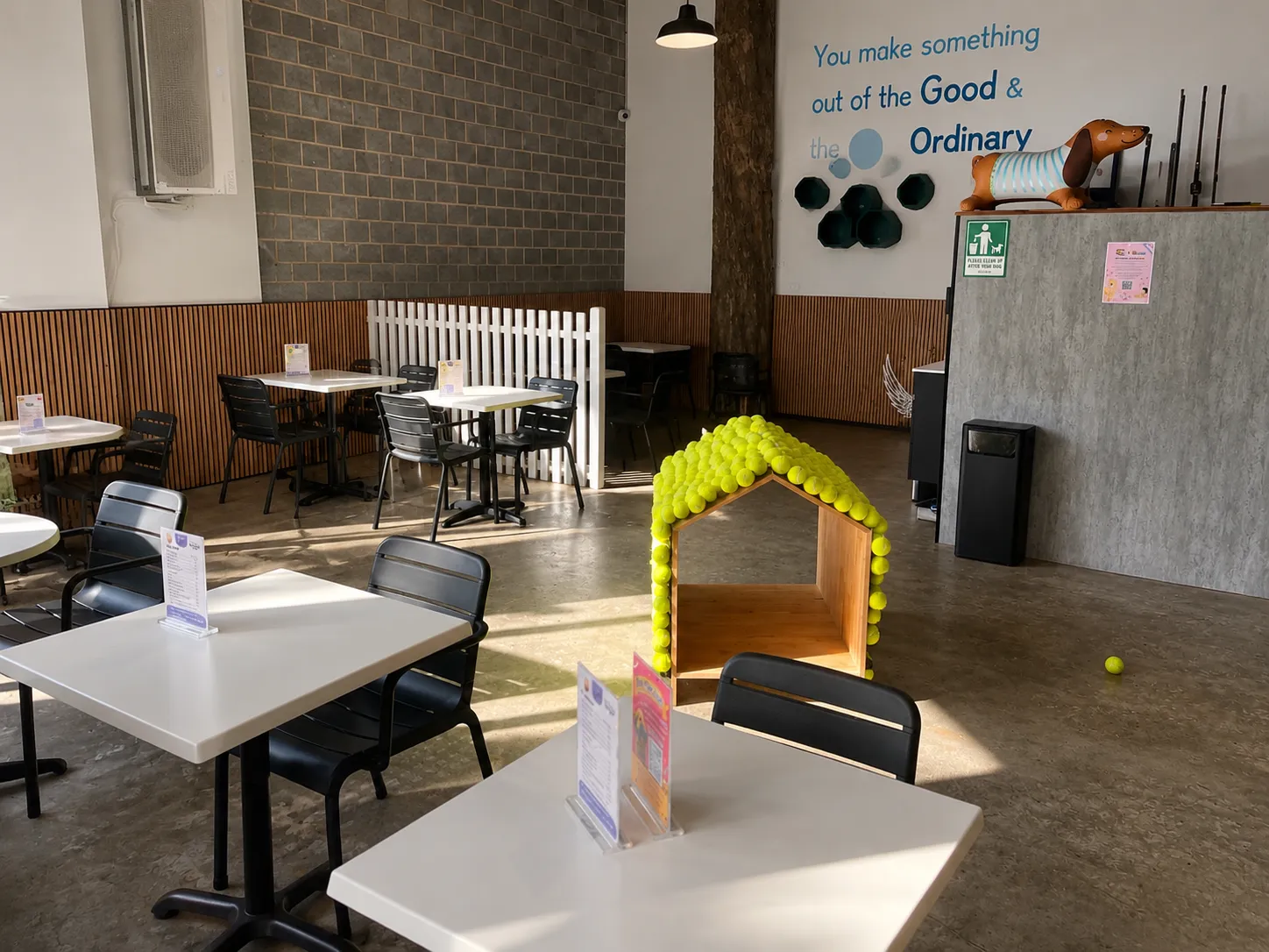 Dogge cafe in Newtown