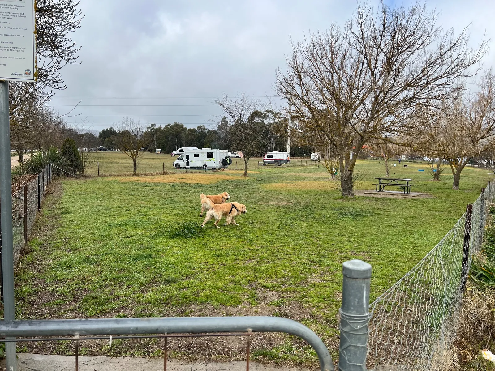 Lake Wallace Fenced Dog Park park in Wallerawang