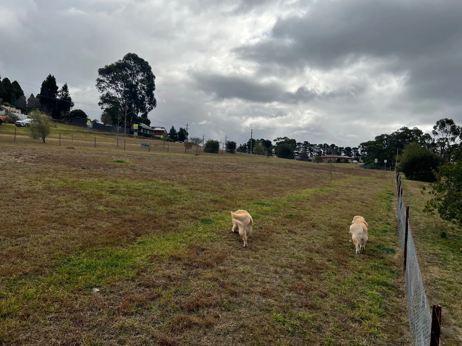 Williwa St dog exercise area park in Portland