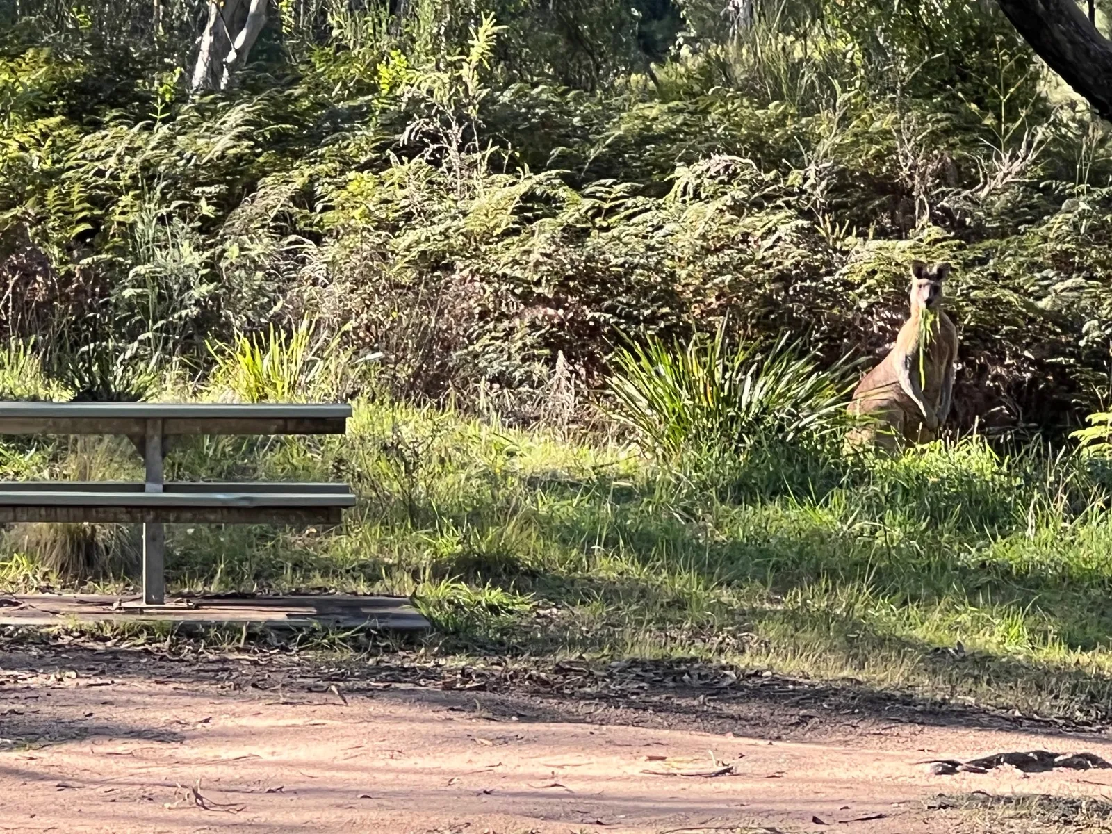 Hartley Reserve park in Hartley